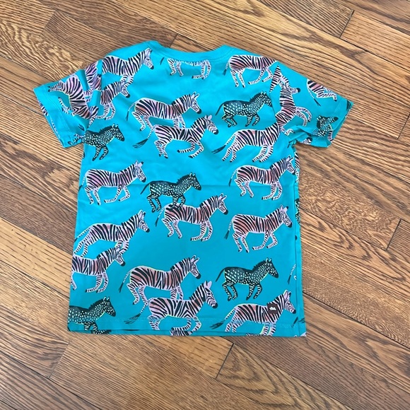 Boys Tea Collection zebra t-shirt - Picture 2 of 4